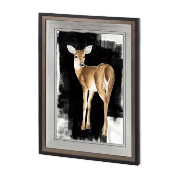 Custom Nocturnal Framed Series