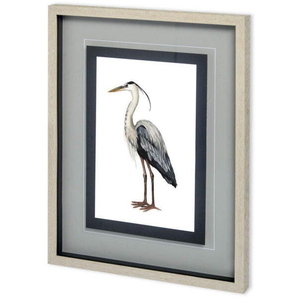 Custom Sea Bird Framed Series