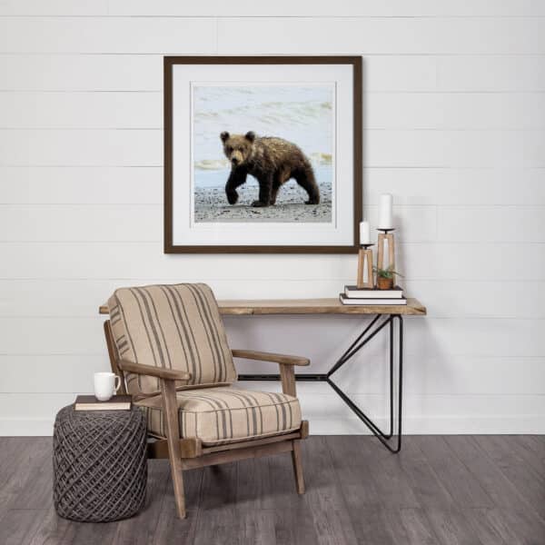 Curious Cub by Wink Gaines
