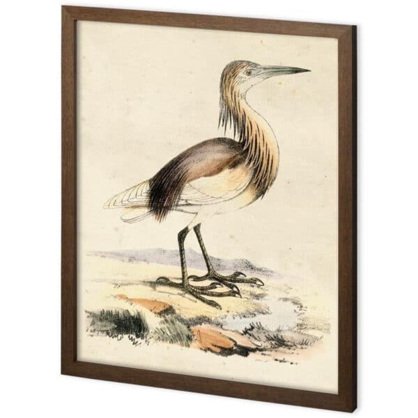 Custom Antique Heron Framed Series