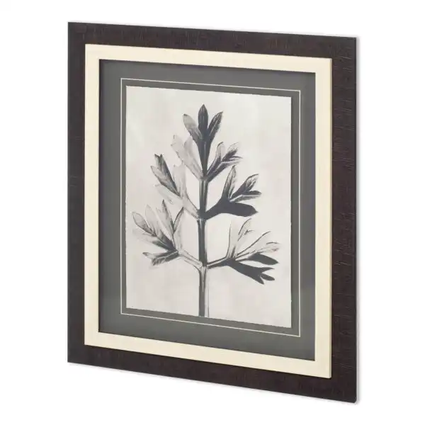 Custom Blossfeldt Botanical Framed Series