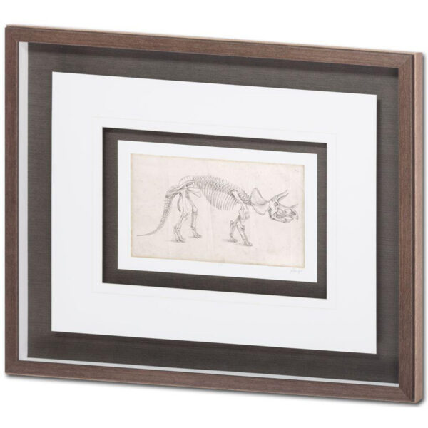 Custom Dinosaur Study Framed Series