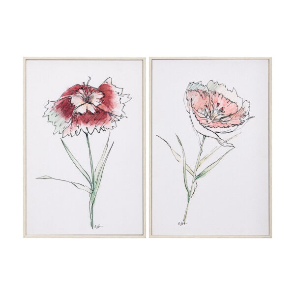 Echinacea Framed Series