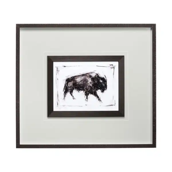 Dynamic Bison Framed Series