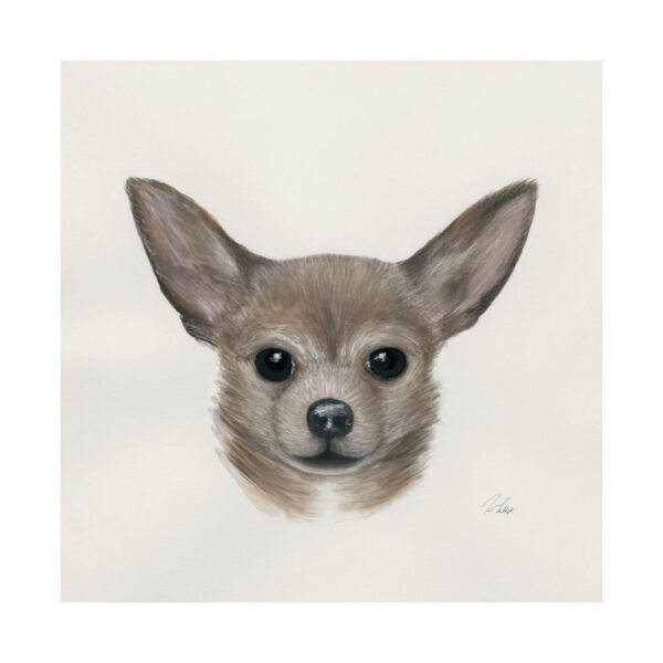 Eddie (Yorkie 1) by Mercana Studio