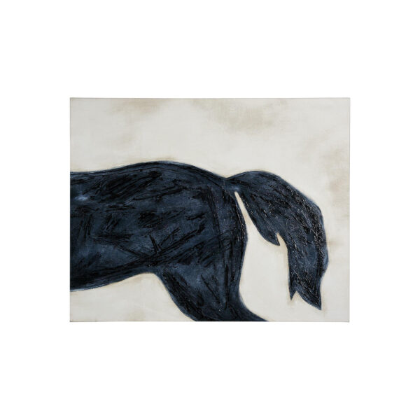 Equestrian Beauties Canvas Series