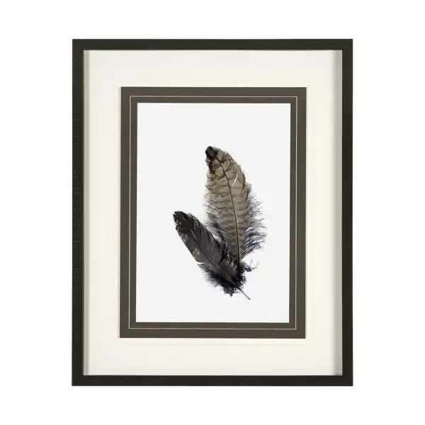 Feathered Framed Series