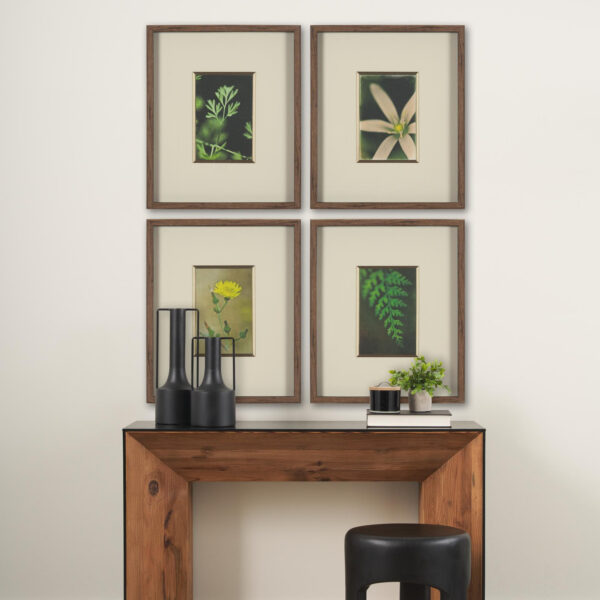 Green Growth Framed Series