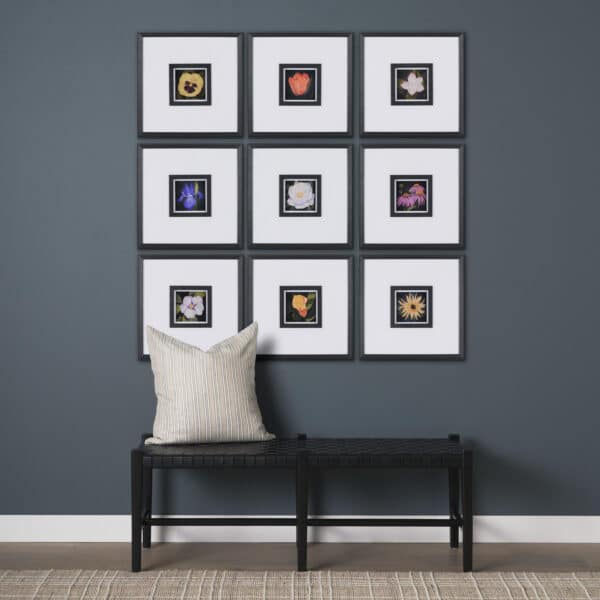 Flower Portrait Framed Series