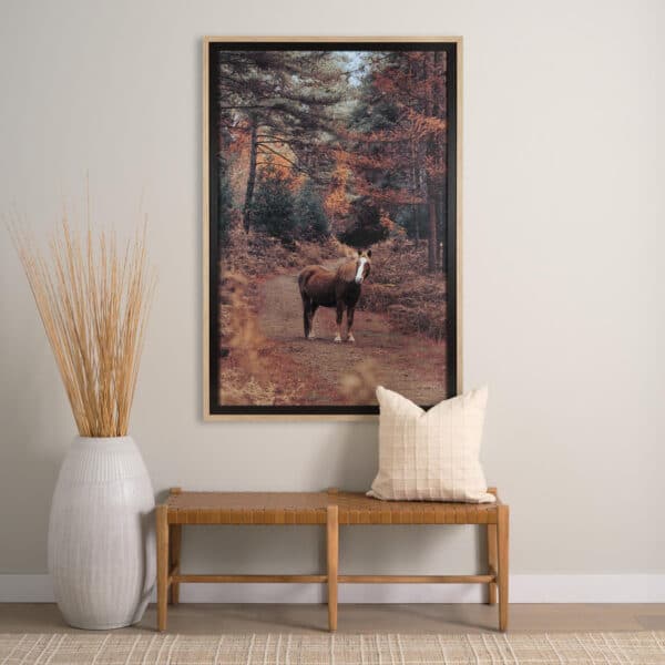 Forest Crossing by Mercana Studio