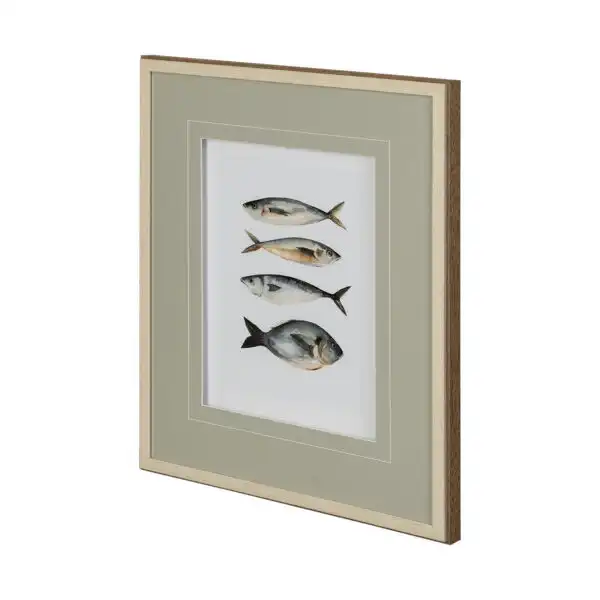 Four Fish Framed Series