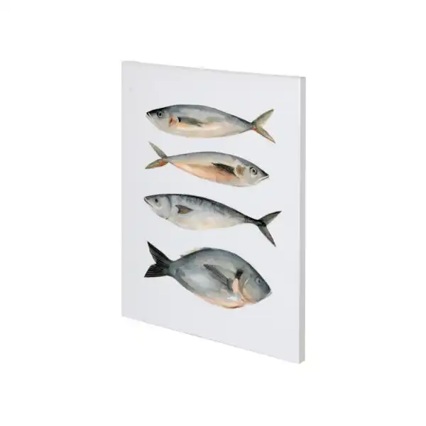 Four Fish Canvas Series