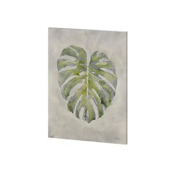 Fresh Unfolds Canvas Series