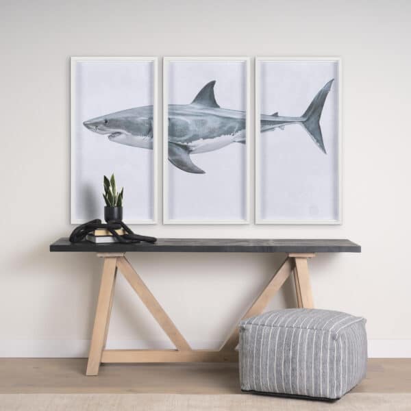 Great White Shark by Ariana
