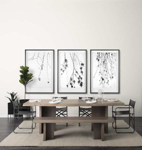 Branch Framed Series