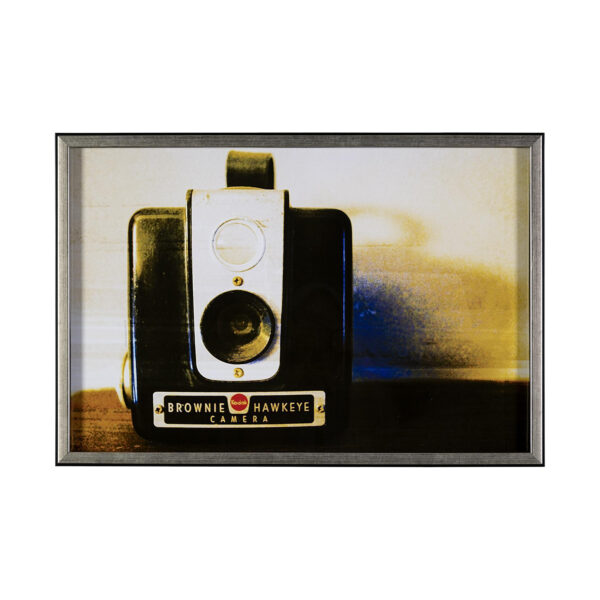Vintage Camera Framed Series