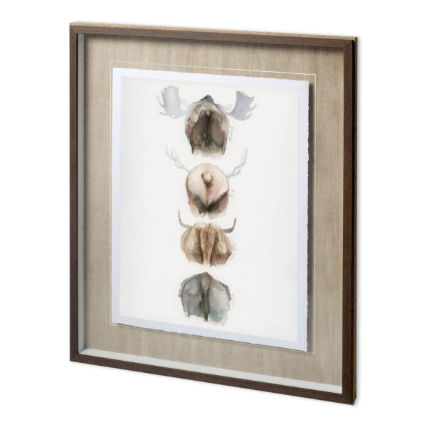 Horn & Tail Study Framed Series