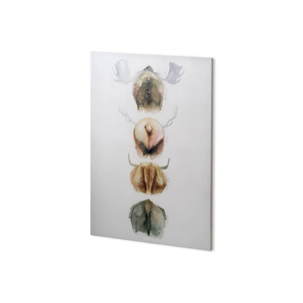 Horn & Tail Study Canvas Series