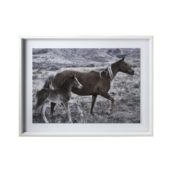My Horse Framed Series