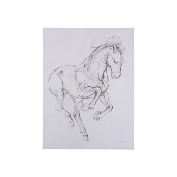 Horse Sketch Canvas Series
