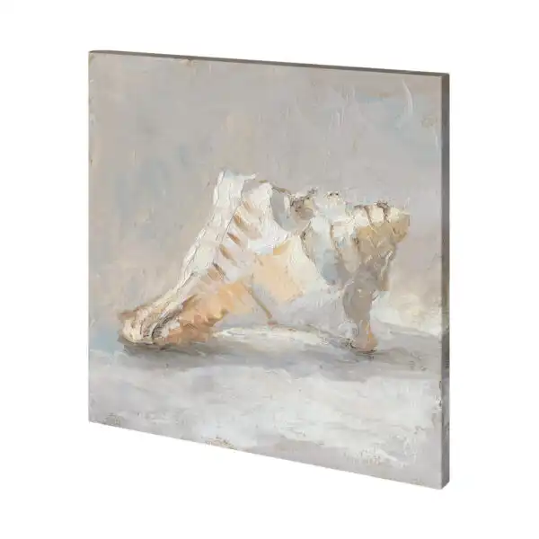 Impressionist Shell Study Canvas Series