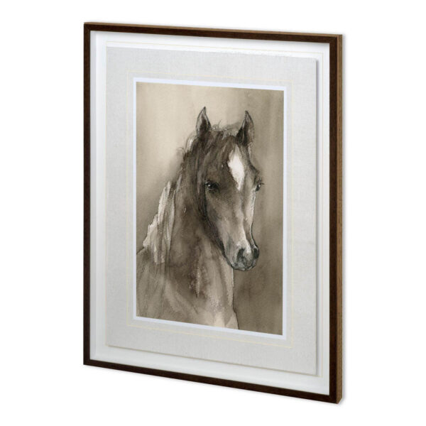 Horse Portrait Framed Series
