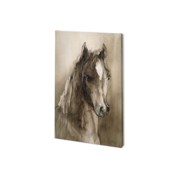 Horse Portrait Canvas Series