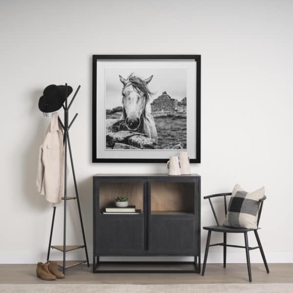 Ireland Black & White by Arabella Studios
