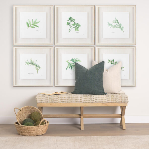 Kitchen Herbs Framed Series