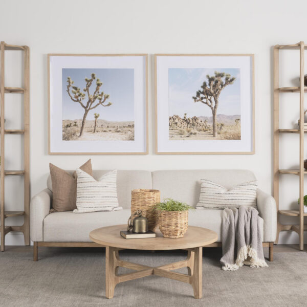 Joshua Tree Framed Series