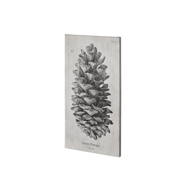 Pinecone Canvas Series