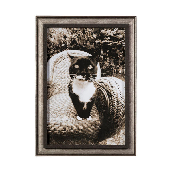 Sitting Framed Series
