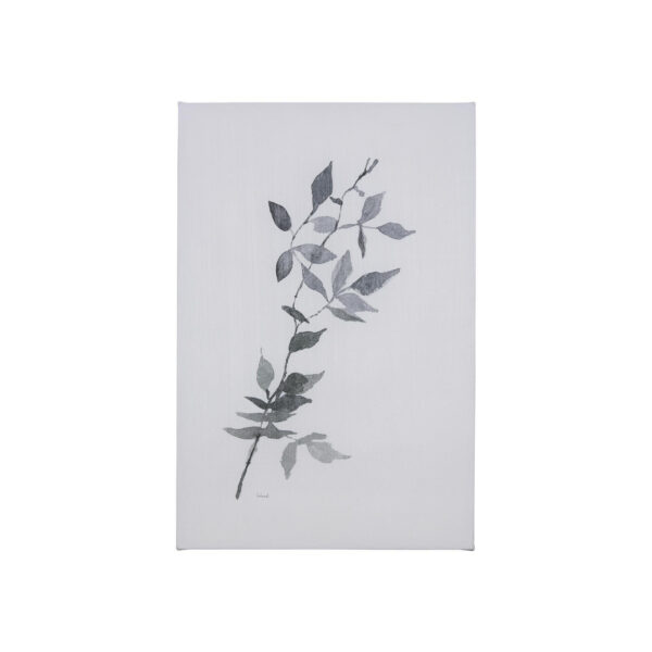 Leaf Shadow Canvas Series