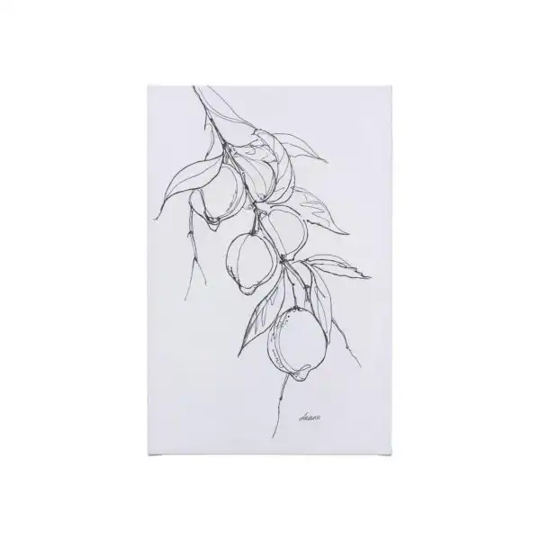 Fruit Sketch Canvas Series
