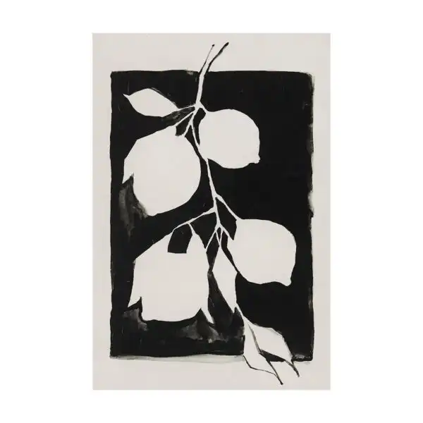 Fruit Branch Silhouette Canvas Series