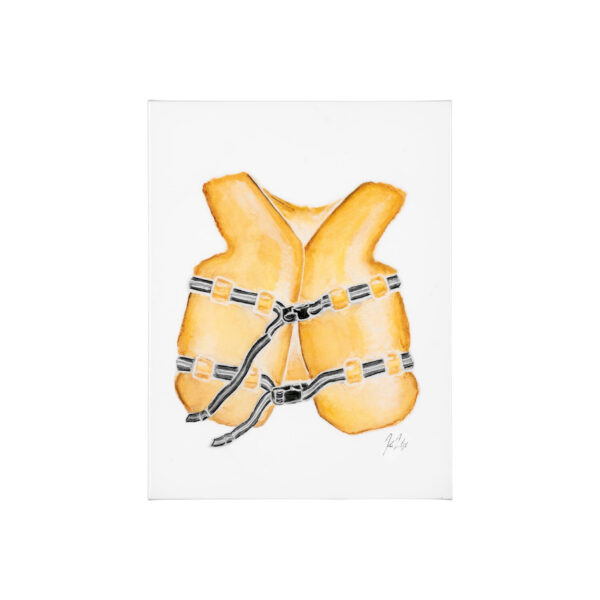 Lifejacket Canvas Series