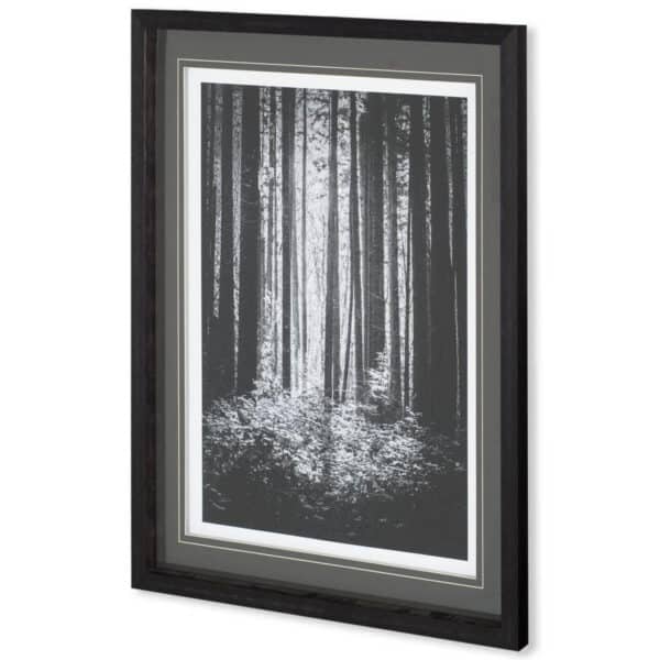 Lowland Winter Forest No. 13, Tiger Mountain by Steve Bisig
