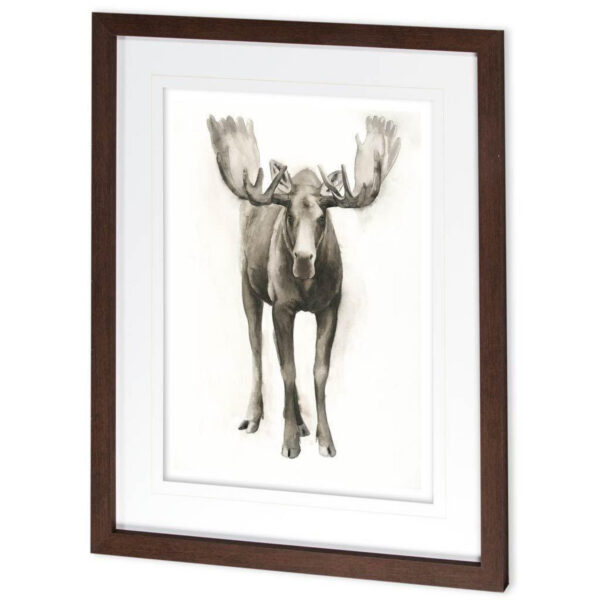 Majestic Wildlife Framed Series