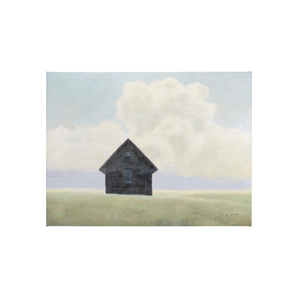 Lonely Landscape Canvas Series