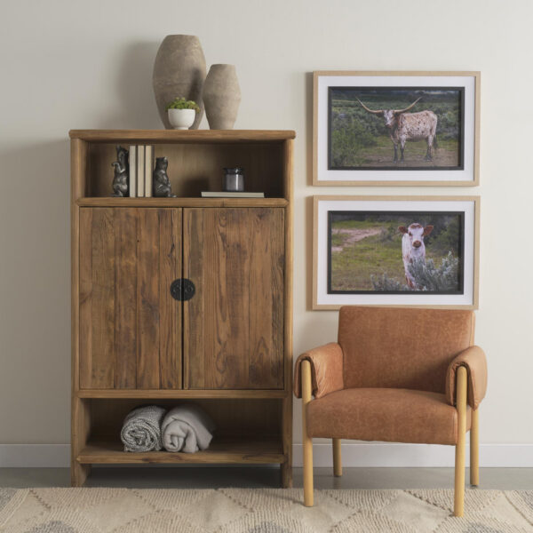 Longhorn Framed Series