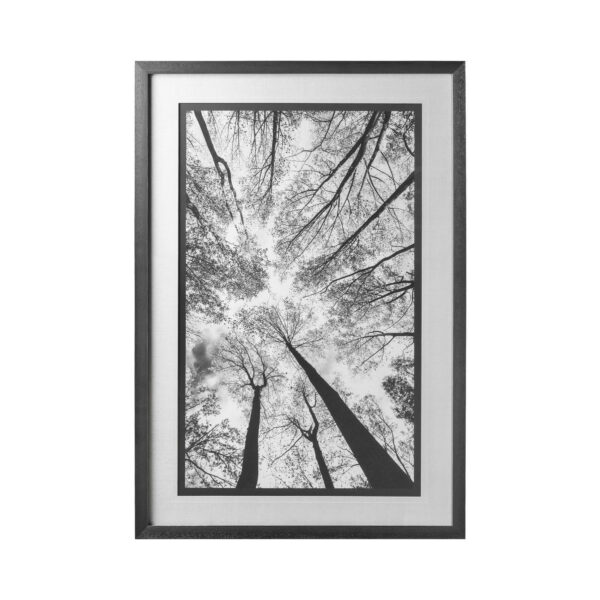 Looking Up I BW by Mercana Studio