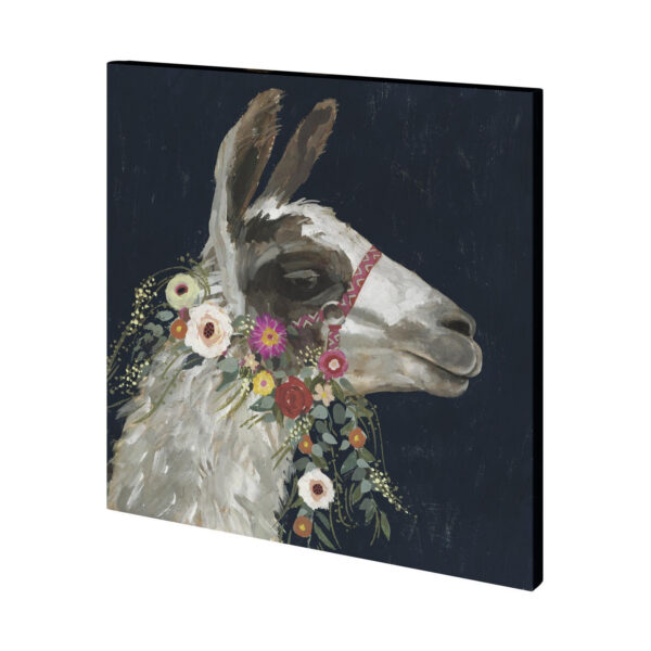 Lovely Llama Canvas Series