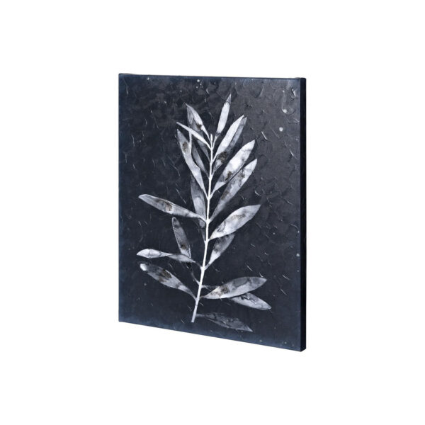 Midnight Leaves Canvas Series
