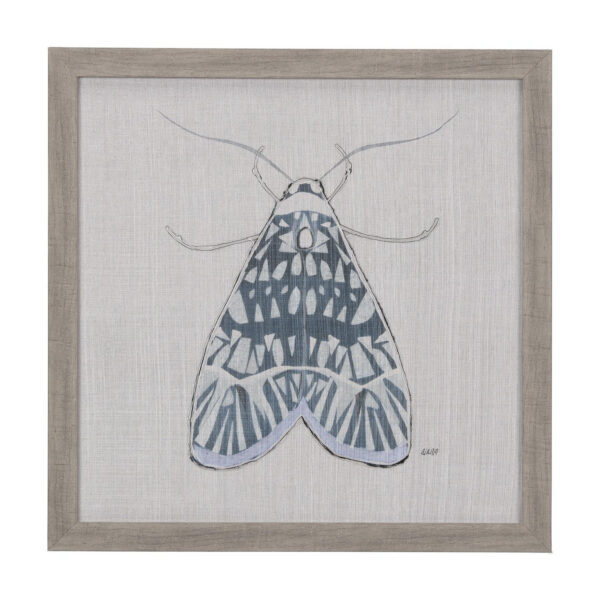 Moth Framed Series