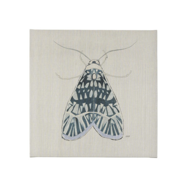 Moth Canvas Series