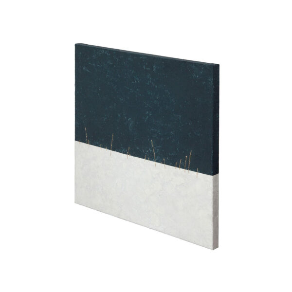 Midsummer Night Canvas Series