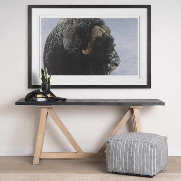Muskox by Gary Blatter