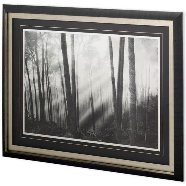 Mystical Forest & Sunbeams by Monte
