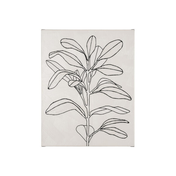 Olive Branch Countour Canvas Series