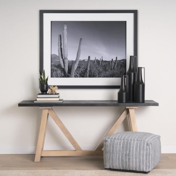 On the Ranch Cactus I by Norm Stelfox